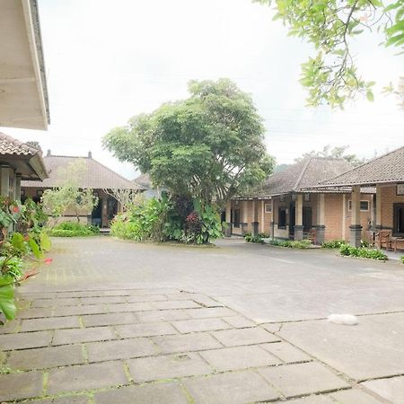 Pelangi Homestay Bedugul Redpartner Eksteriør billede